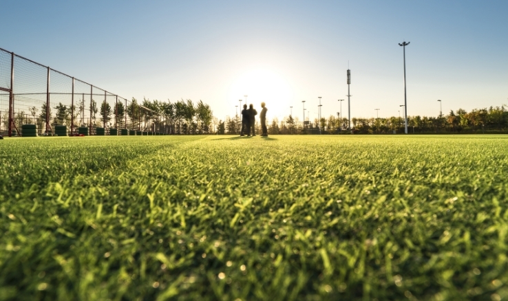 A well-kept sports field is crucial for athletes and community members alike. Lobb-Alexis offers fertilization, insect, disease, and weed control for commercial turfs!