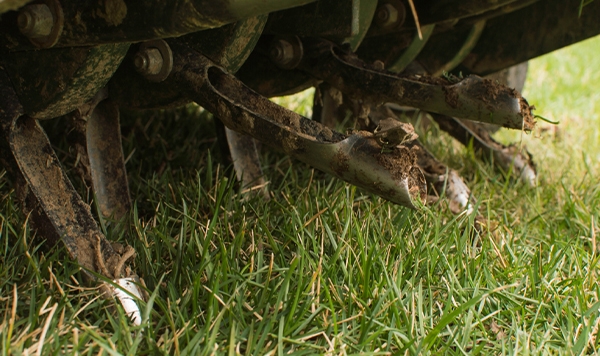 Our liquid aeration and dethatching services break through the surface of your soil, allowing air, water, and nutrients to reach your grass’s roots. We'll breathe new life into your lawn, helping it flourish.