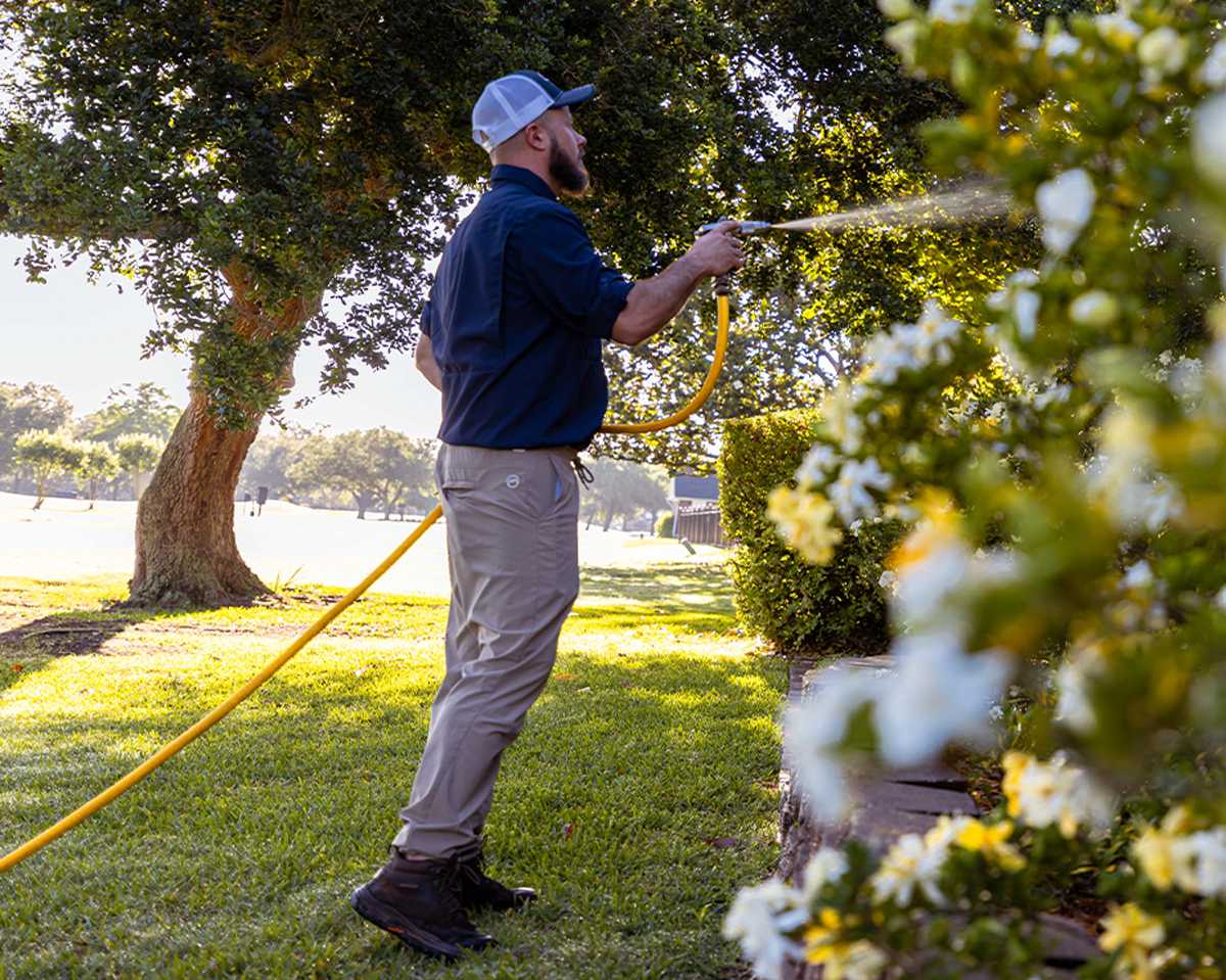 Lawn Care Tips in New Orleans, LA | Lobb-Alexis - blog-image