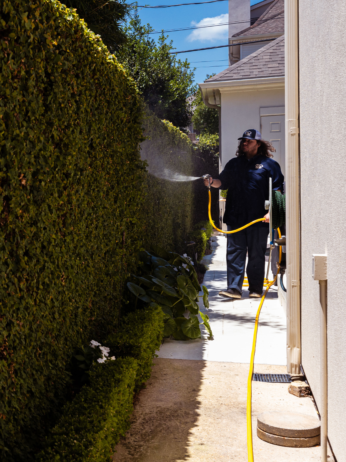 Tree and Shrub Care in New Orleans, LA | Lobb-Alexis - tree-shrub-image2