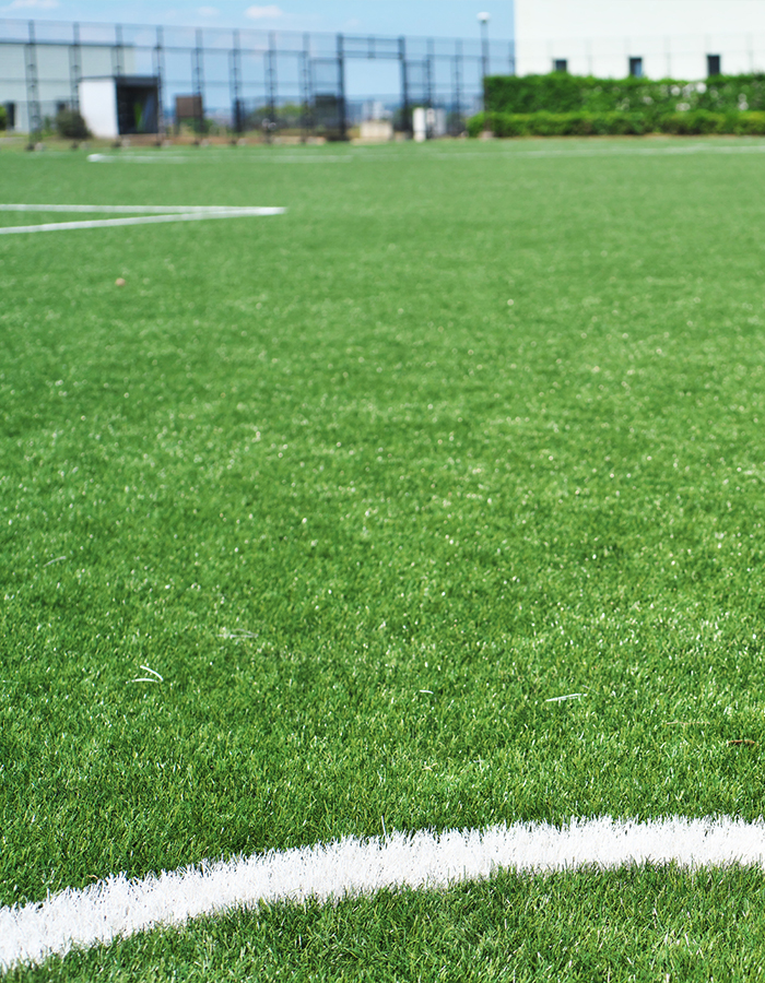 Commercial Turf Fertilization in New Orleans, LA | Lobb-Alexis - turf-2-1